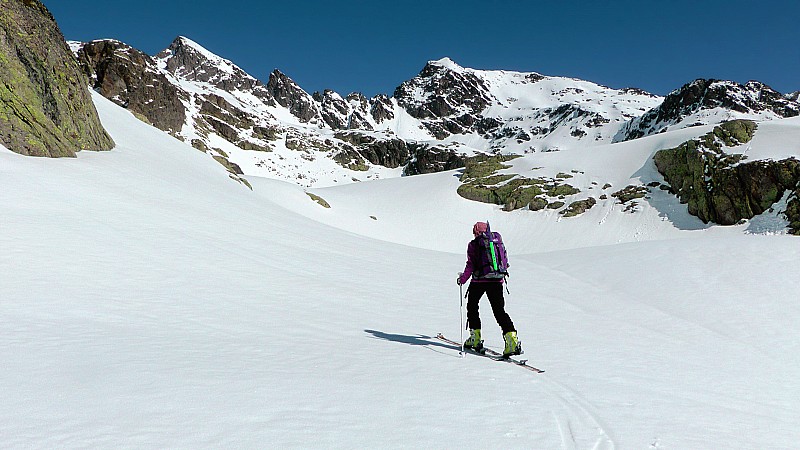 2450m : Le Corborant droit devant