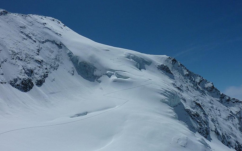 Mt Pourri : Les traceurs. Ça du être bon à la descente aussi!