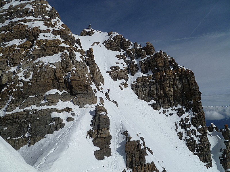 pic de Rochebrune : Pente sommitale