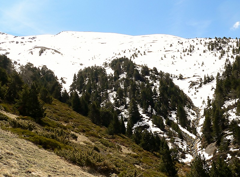 Puigmal de Segre : terminé !