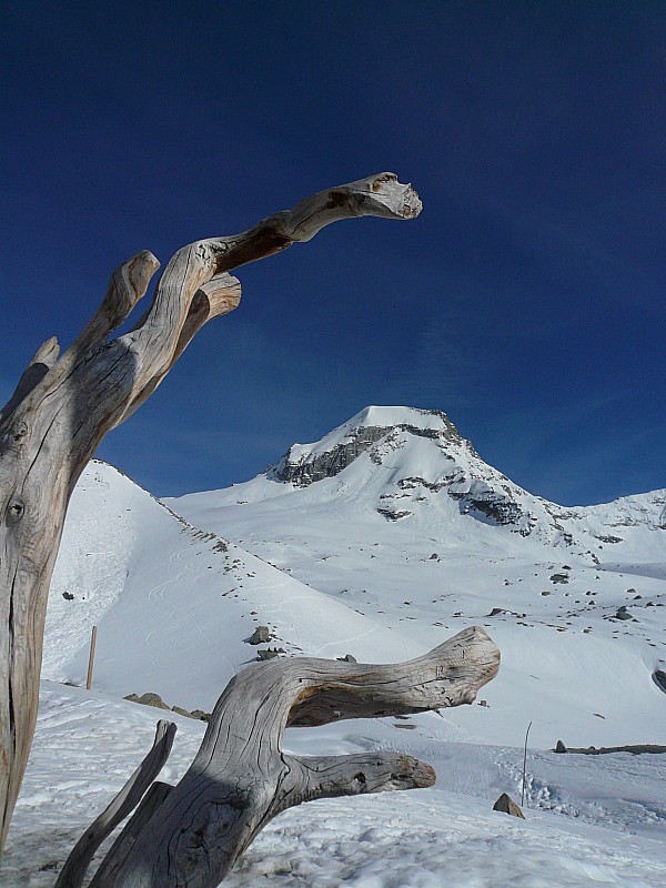 Ciarforon (3641 m)