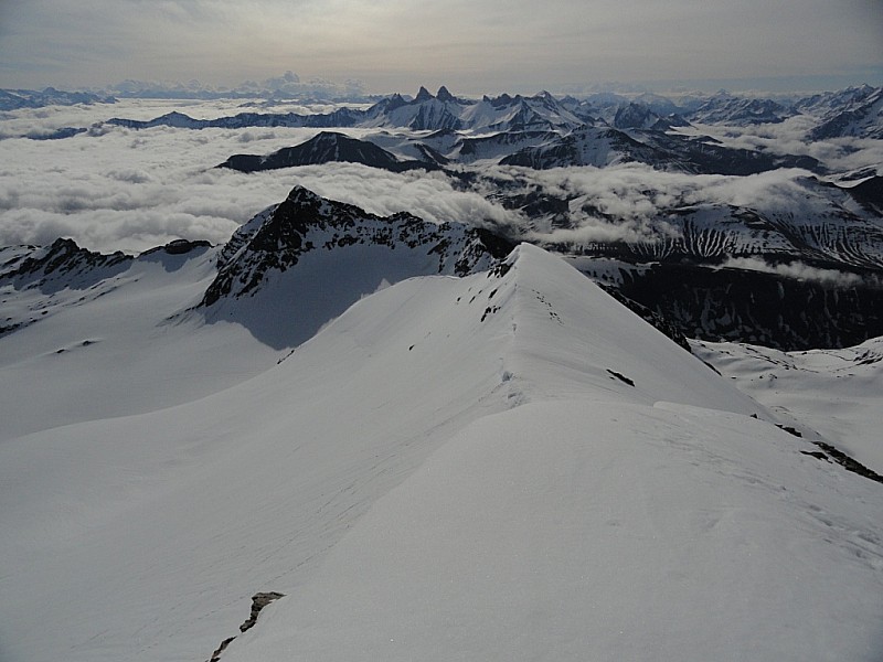 Pic de l'Etendard : Vue du sommet