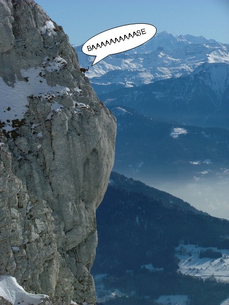 Bouquetin : Prêt pour le grand saut?