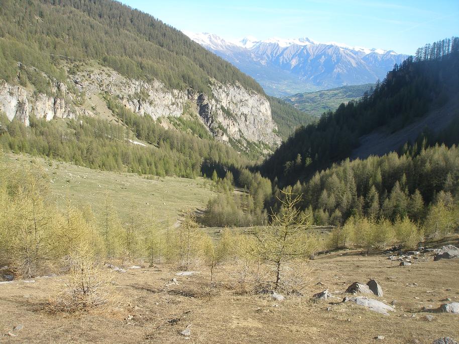 sous 1900m : sec !il y a 10 jours on chaussait 120m plus bas!