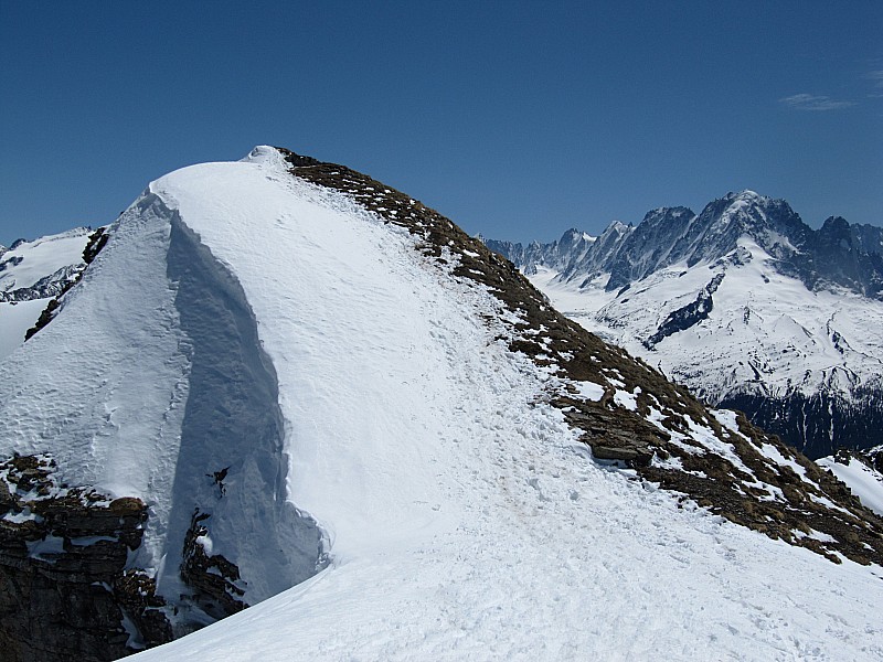 La Pointe : de la Terrasse.