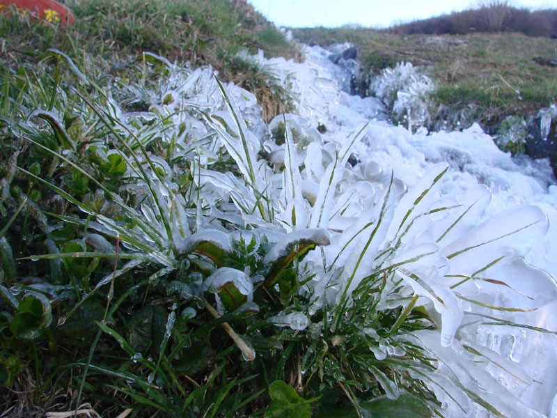 Nature de glace