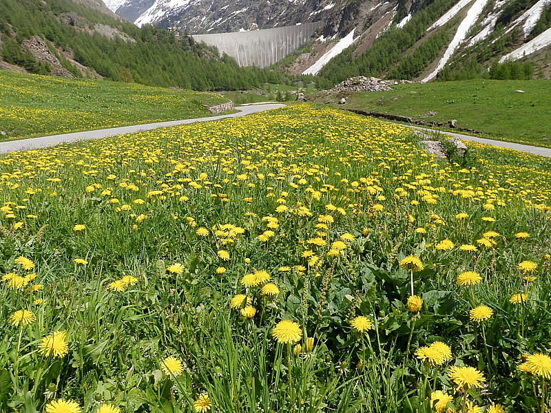 arrivée à Place Moulin : pour Alain
