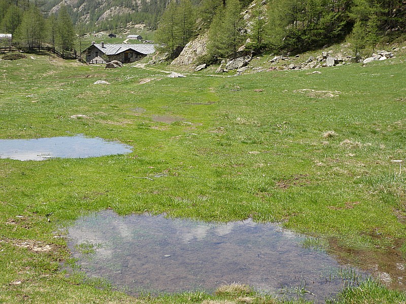 très bon accueil : refuge de Prarayer