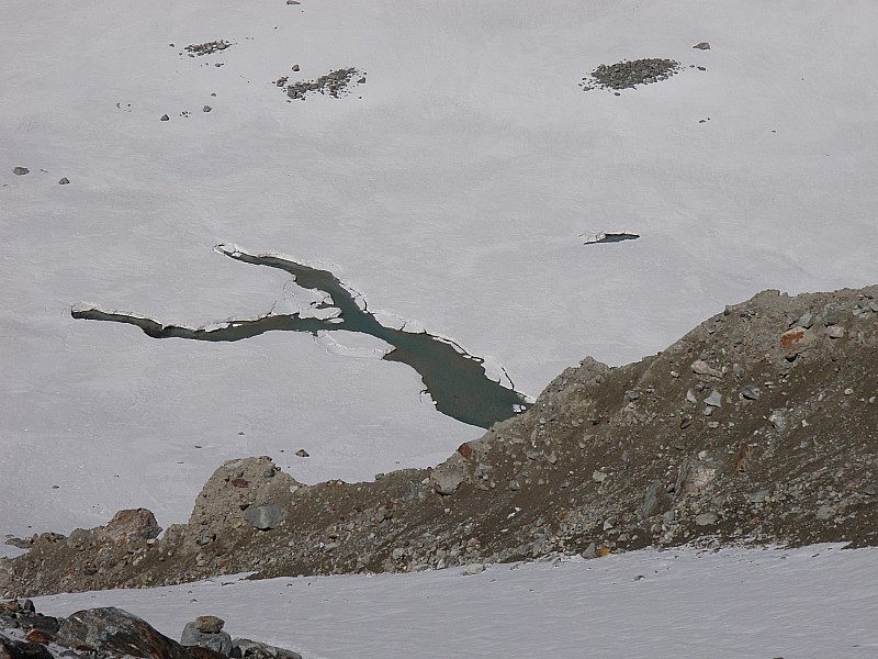 Y comme YES : comme les Chamans, il faut lire les messages dans la nature!