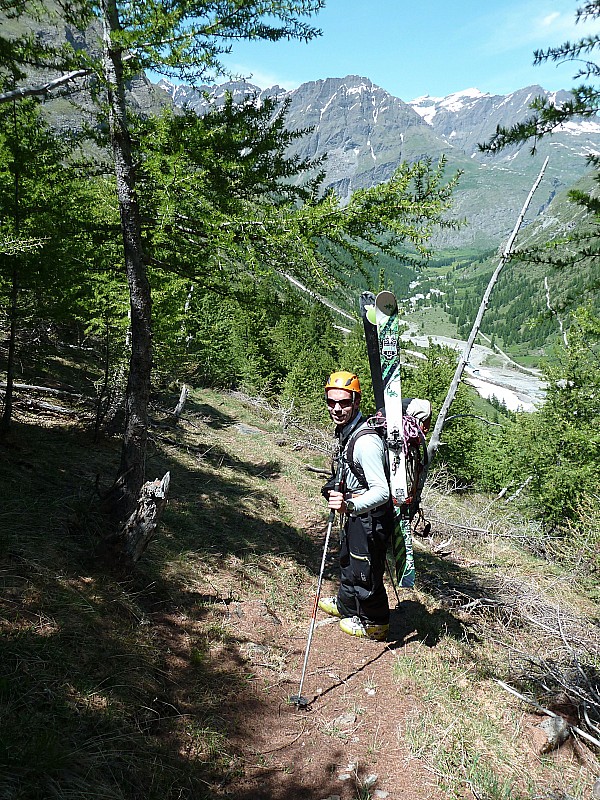 Descente dans les mélèzes : : dernière de l'année ? pas sûr...