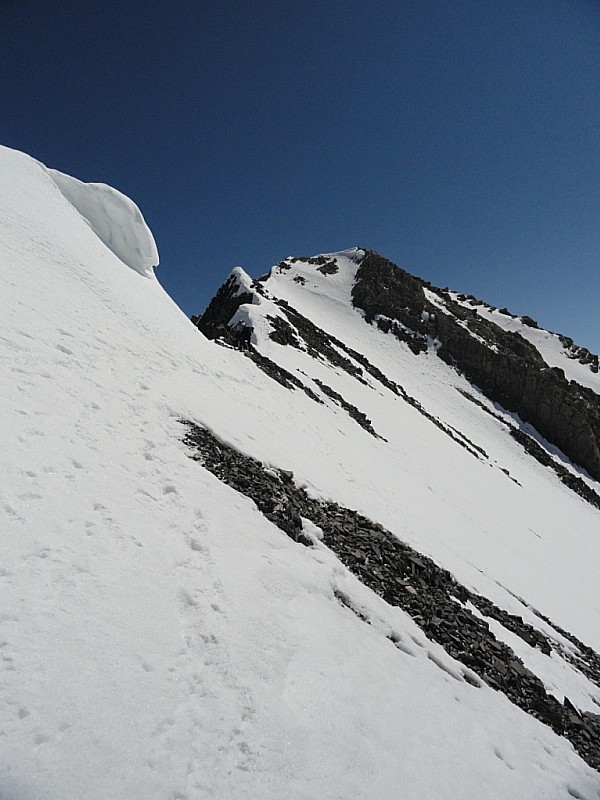 Dent Parrachée : Le sommet est en vue!!
