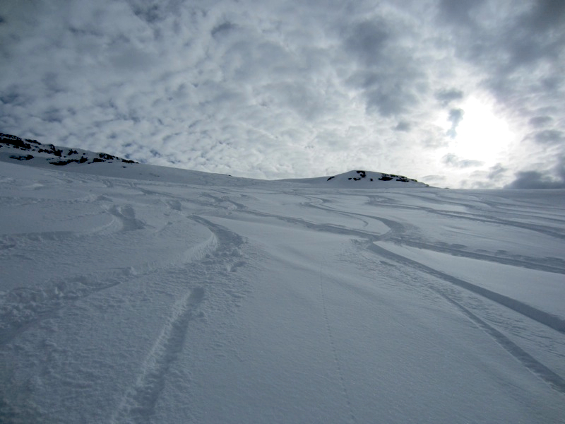 le haut des pistes  de Flaine : poudre encore..!