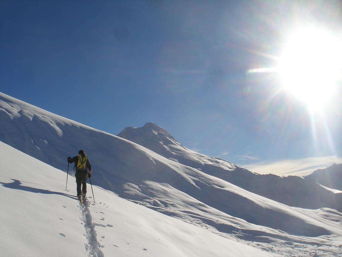 beau soleil! : et beau fredo!