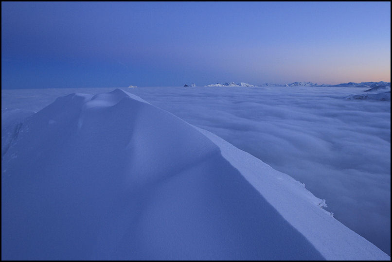Tarte meringuée : et son couli