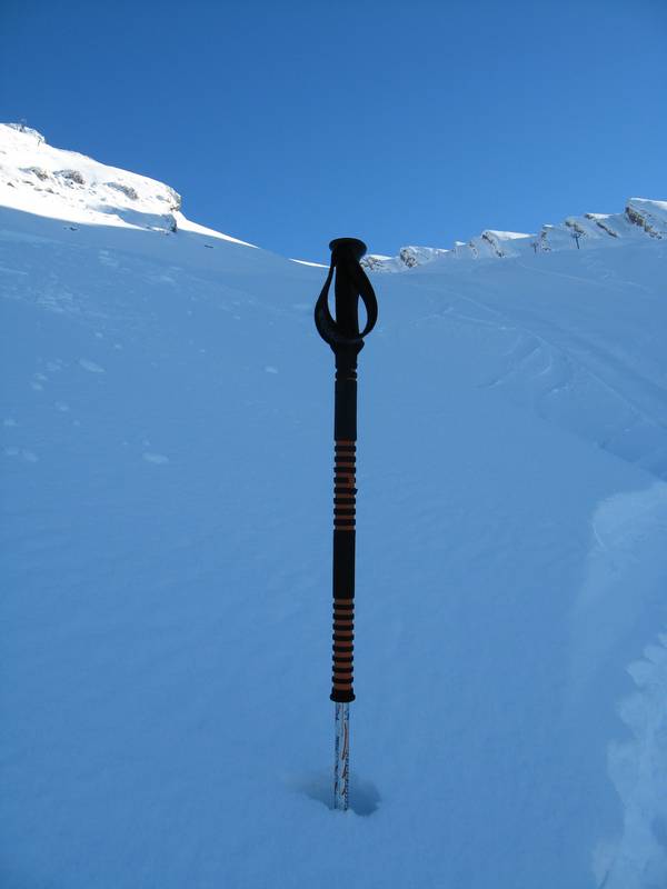 Combe de Torchère : Parfois 60 cm de poudreuse bien légère ( vers 2150 m )