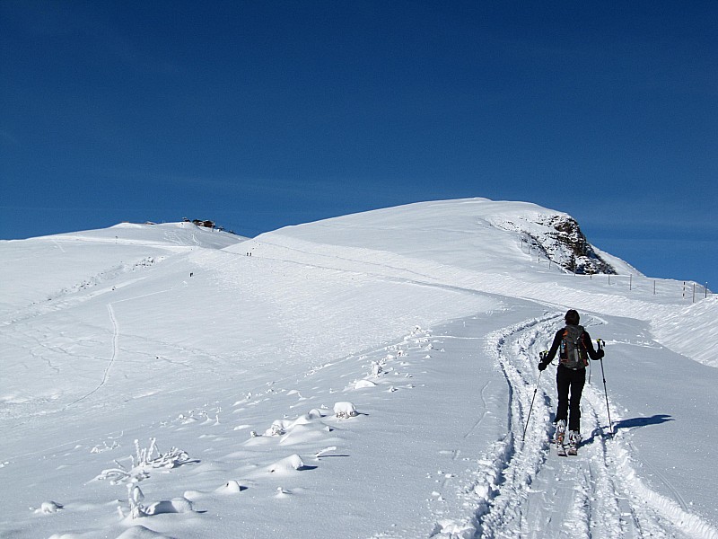 Montée vers : la Tête du Pré des Saix.