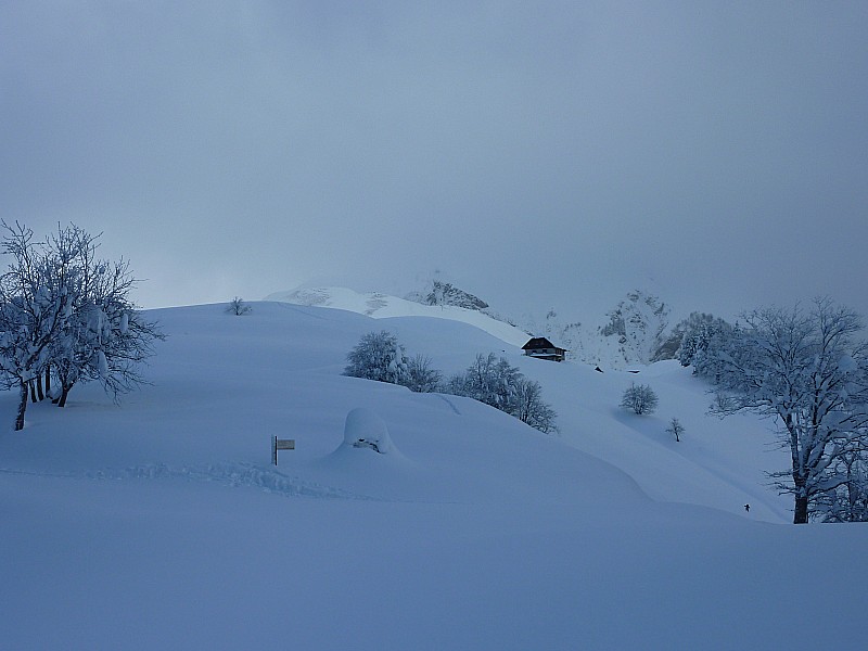 #2 en rejoignant la trace : beaucoup plus facile... Surtout pour les raquettes! (et pour Niouk) en rejoignant la trace : beaucoup plus facile... Surtout pour les raquettes! (et pour Niouk)