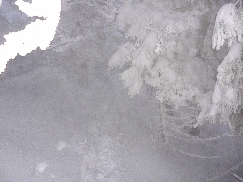 arête du chat : neige, givre, brouillard mais pas de vent!