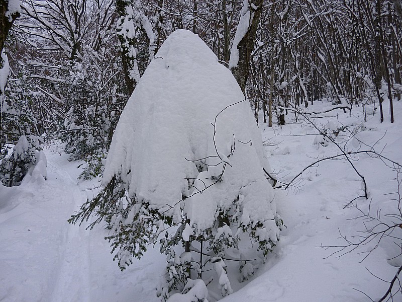 y'a de la poudre : tous les 100 m de D+, on gagne 10 cm de peuf...