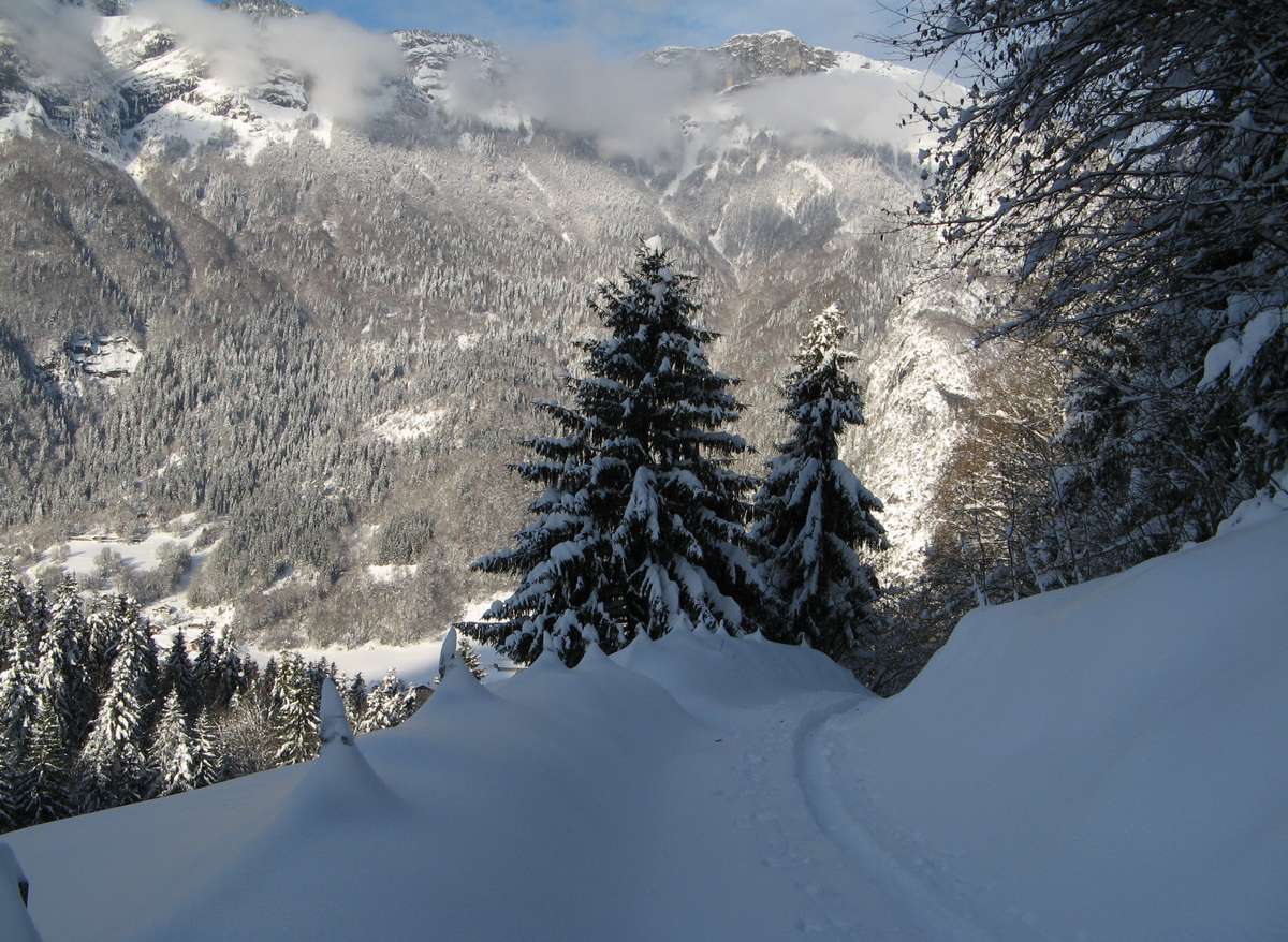 Pointe de Talamarche, combe N : Une piste bien agréable