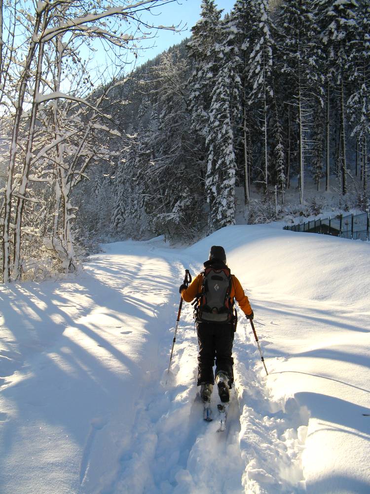 Pointe de Talamarche, combe N : Au départ à 584 m