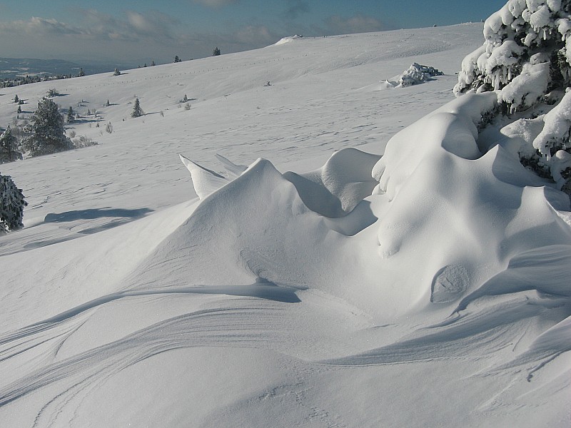 sculpture de neige : le vent a bien travaillé!