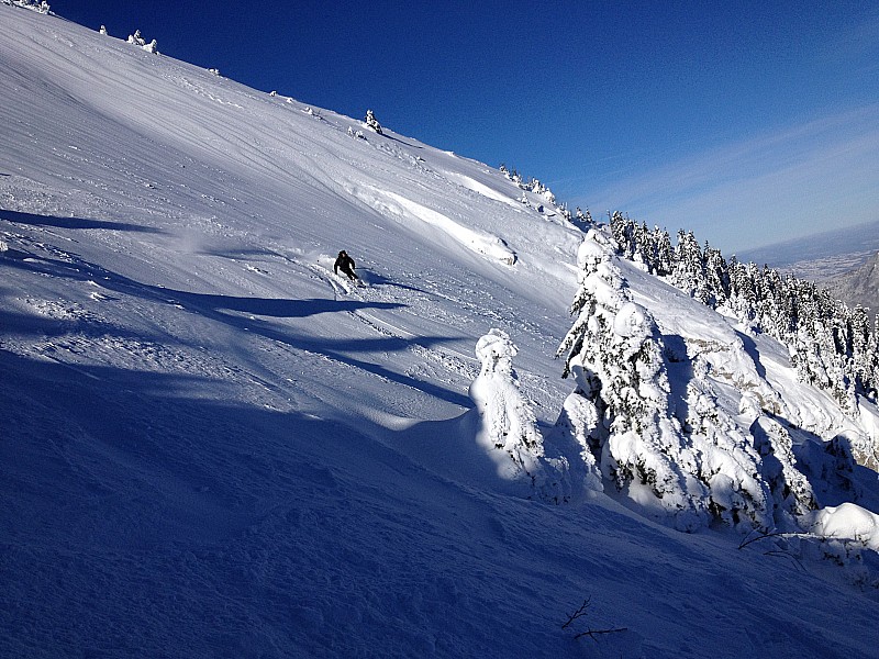 trace : la poudre vole