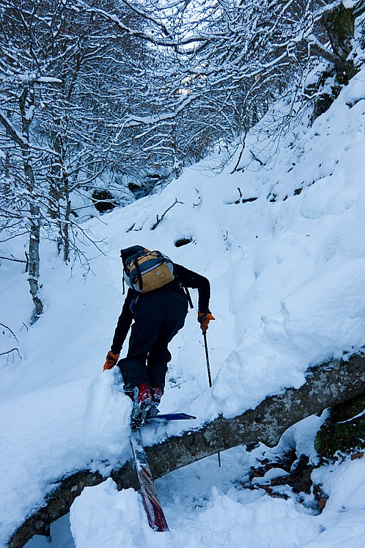 Ruisseau de Besset : accrobranche