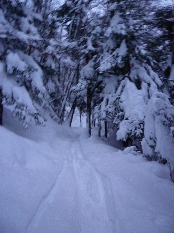 Descente : La forêt notée AAA, mais en attente de dégradation arbitraire et pluvieuse