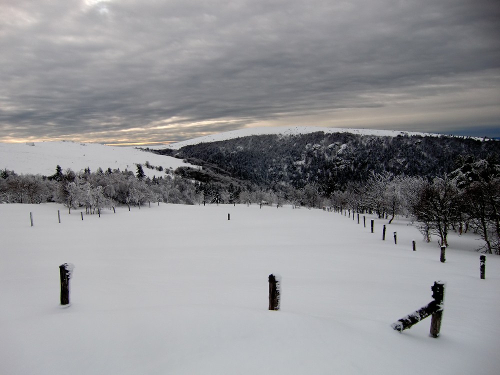 Lisière de Forêt : Bon enneigement en arrivant au dessus du bois de la Richarde!