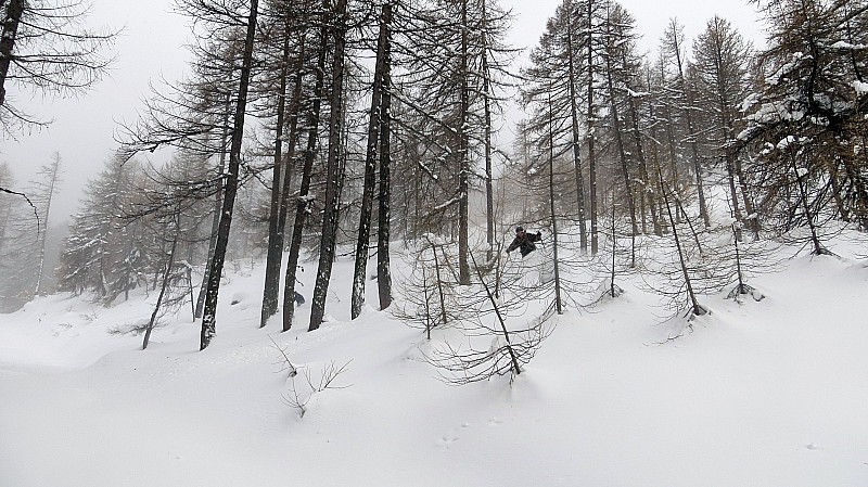 Dans les bois : Bon ski quand même!
