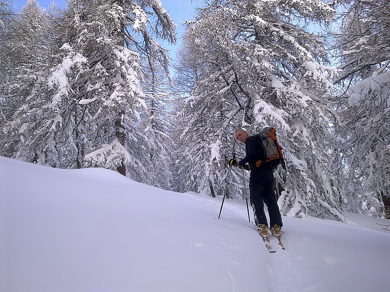 Fouran 18.12 : Des arbres super chargés