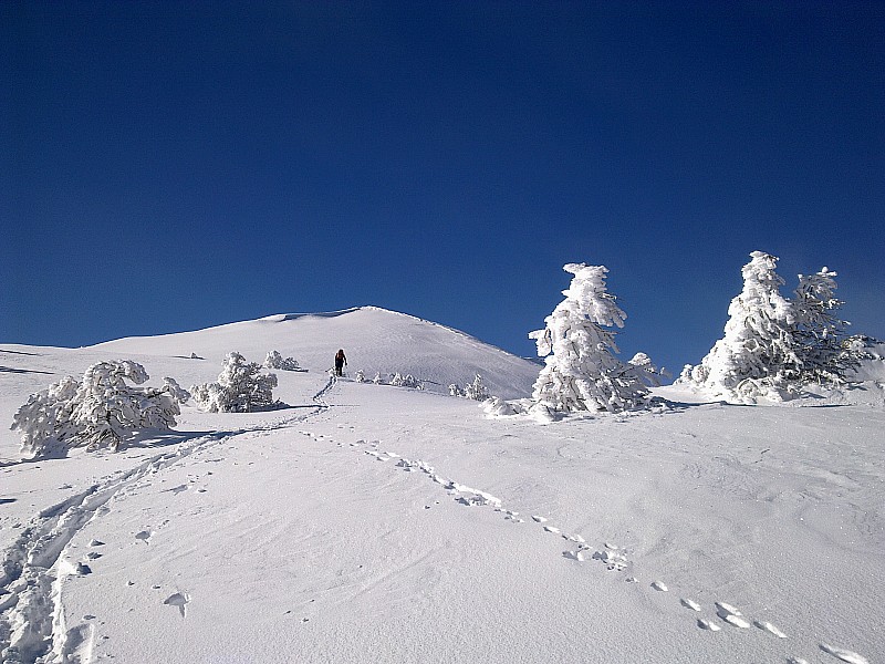 Fouran 18.12 : pleins les yeux...