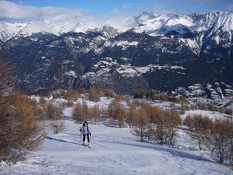 Sortie du bois