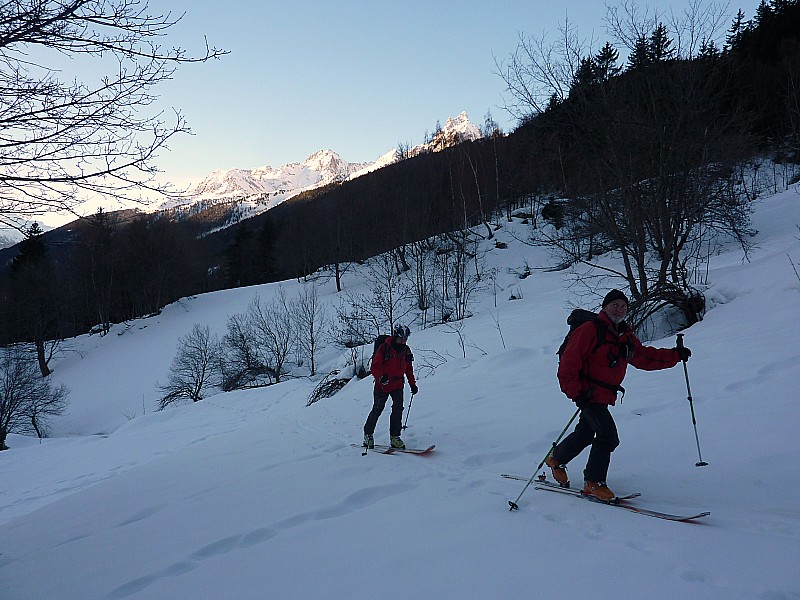 dans l'ombre : Vivement la sortie de forêt bien qu'on y soit pas encore entré!
