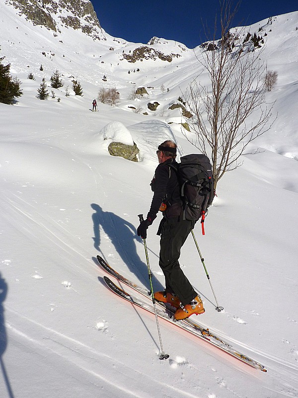 sherpa : tu portes un arbre JPol mais les boules sont plus bas dans la forêt!!!
