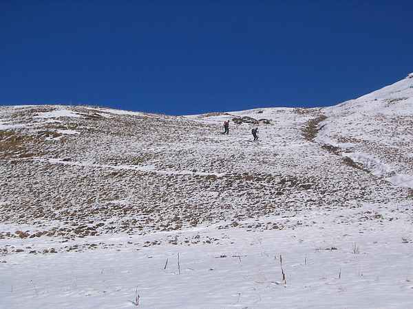 Ski sur herbe : Le plaisir de tracer les pentes herbeuses ! ;o)