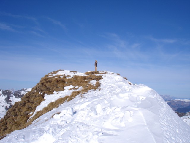 Le sommet : L'arrivée au Sommet de la Pointe du Dzonfié