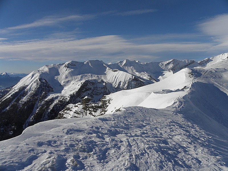 Tête de Clotinaille.