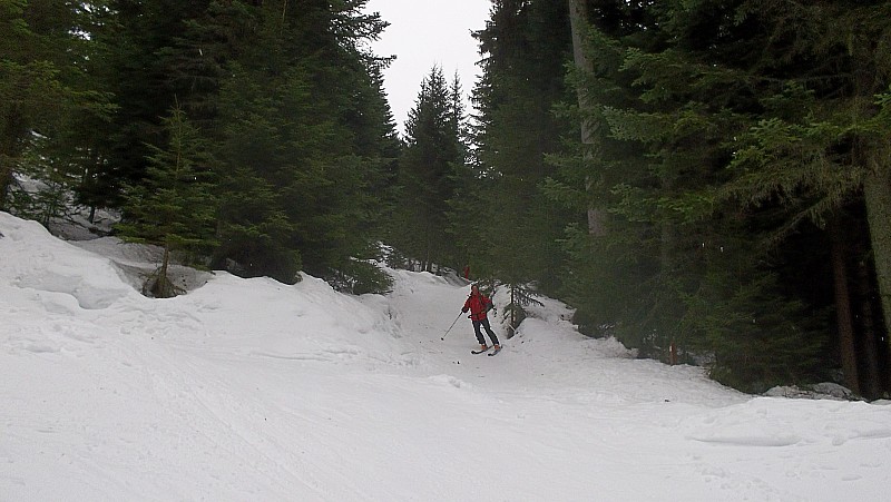 ski cross 1