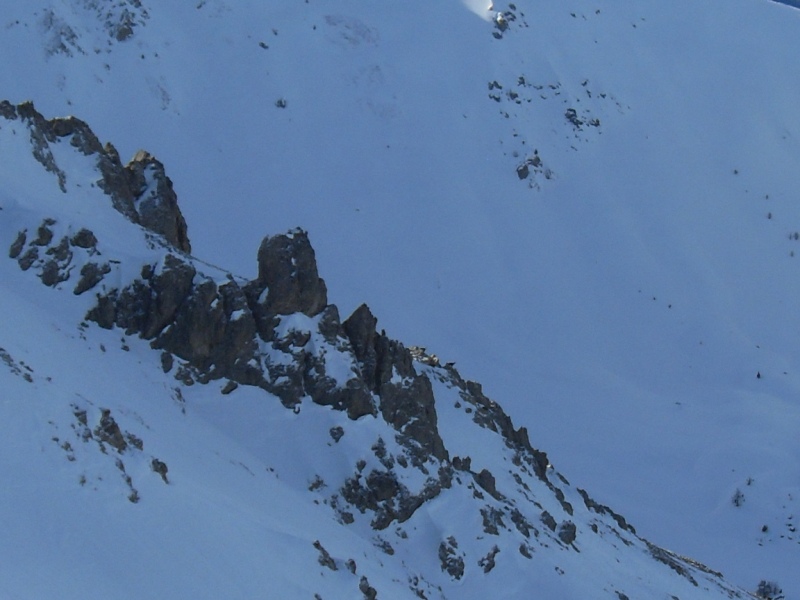 #6 Deux chamois sur la crête sous le Petit Puy côté Pic Jean Rey. Deux chamois sur la crête sous le Petit Puy côté Pic Jean Rey.