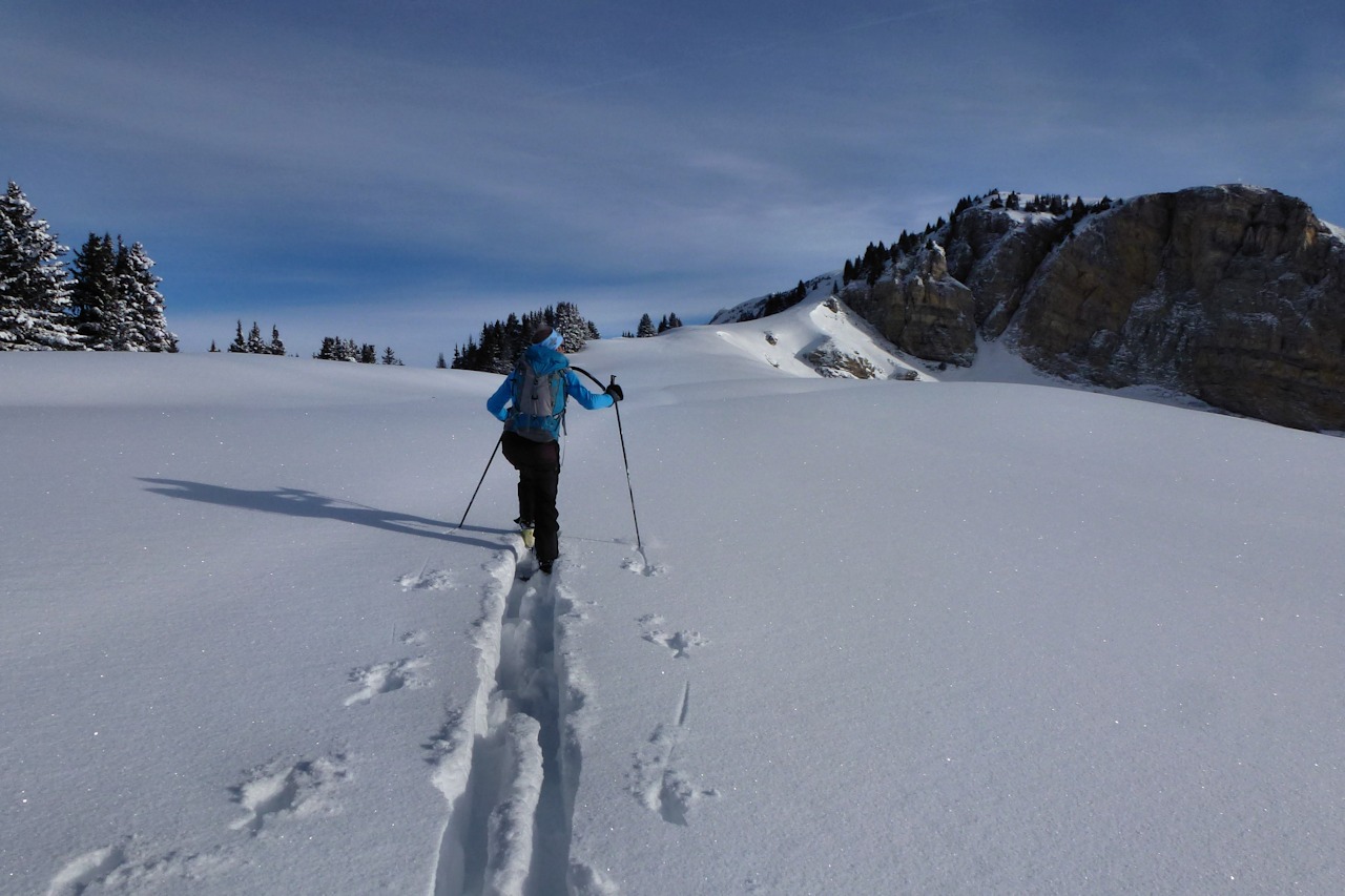 Vers 1850 m : Arrivée sur la crête.