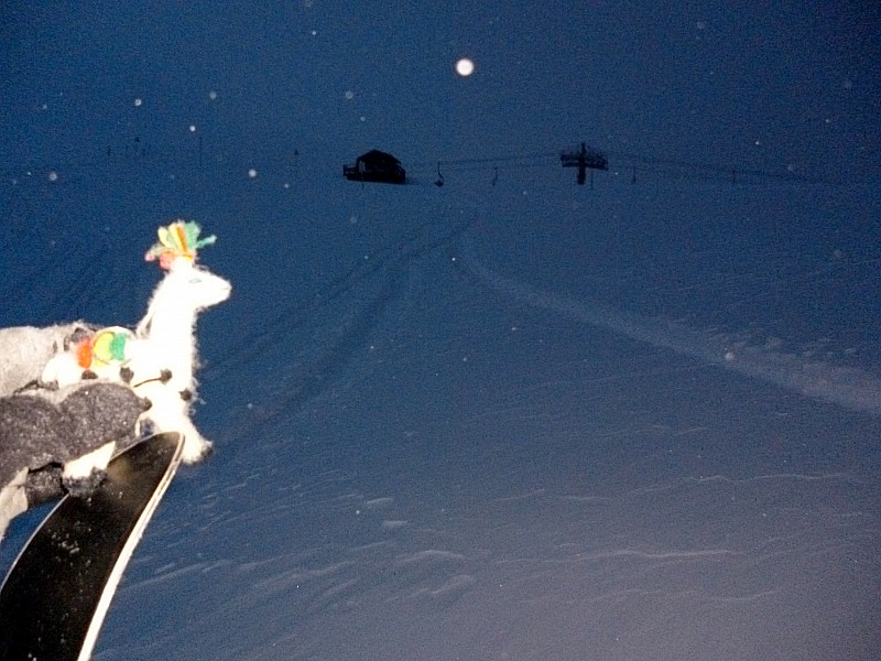 arrivée au col : l'alpaga a bravé le froid, la nuit, le vent la neige. Il est temps de se barrer d'ici.