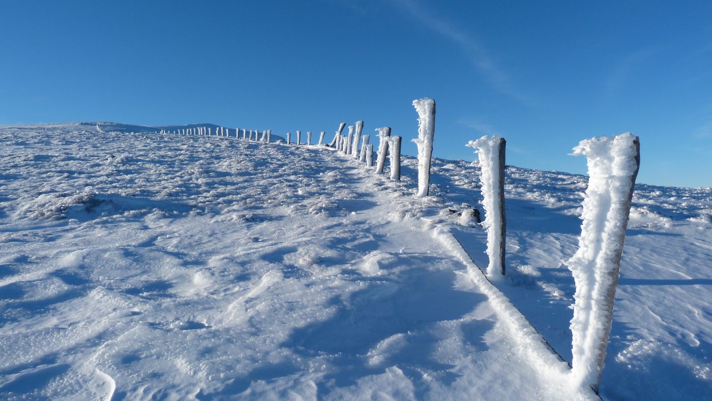 #8 Montagne de glace : Terrain miné par les choux-fleurs Montagne de glace : Terrain miné par les choux-fleurs