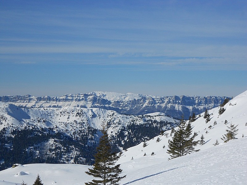 Regard vers la Chartreuse : Les lances de Malissard tout au fond