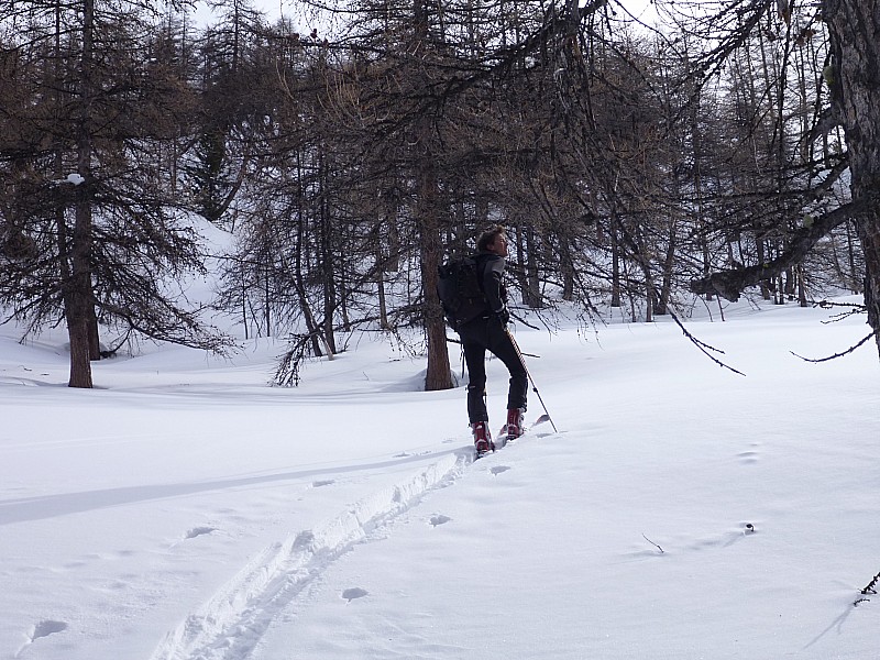 A la trace ! : Ça commence ! Finis les rails !