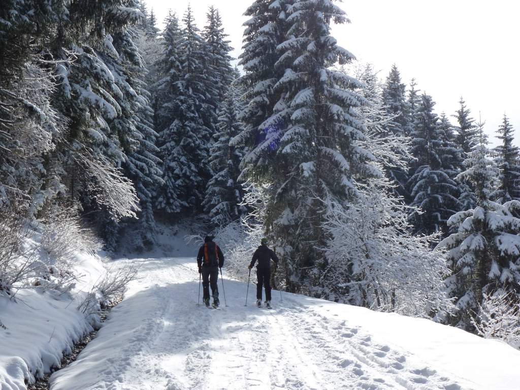 sur la route : encore du soleil