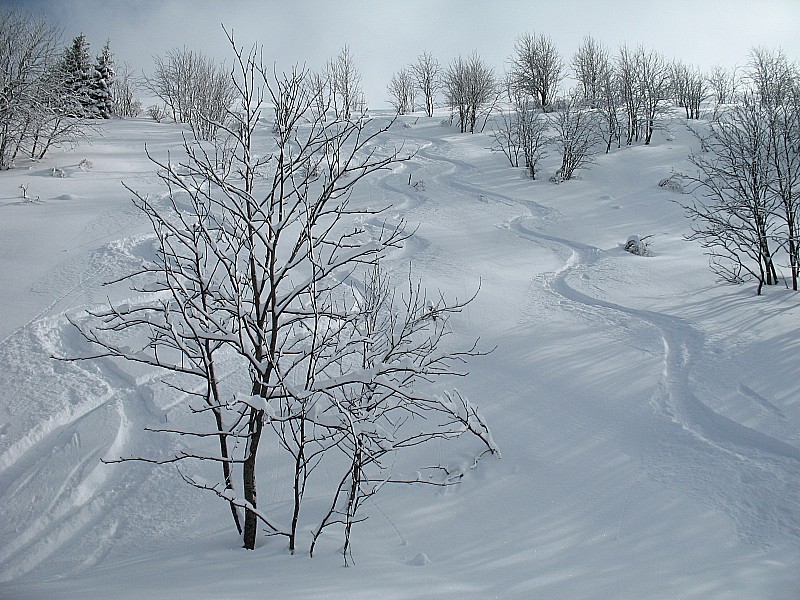 combe des Foges : Toujours bon !