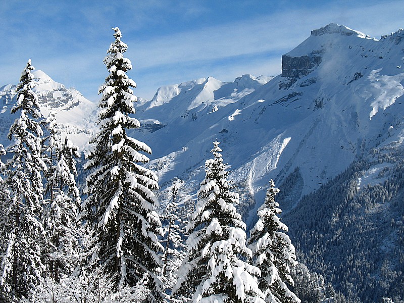 combe des Foges : De beaux panoramas sur le Tenneverge, le Grenier de Commune et le Buet en montant