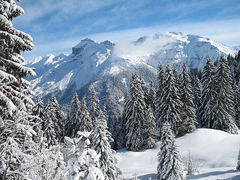 combe des Foges : Des paysages qu'on redécouvre sous un autre angle